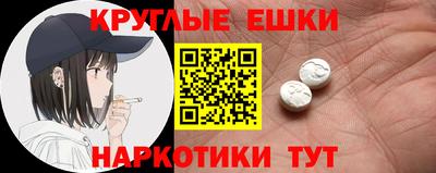 тгк Дмитров